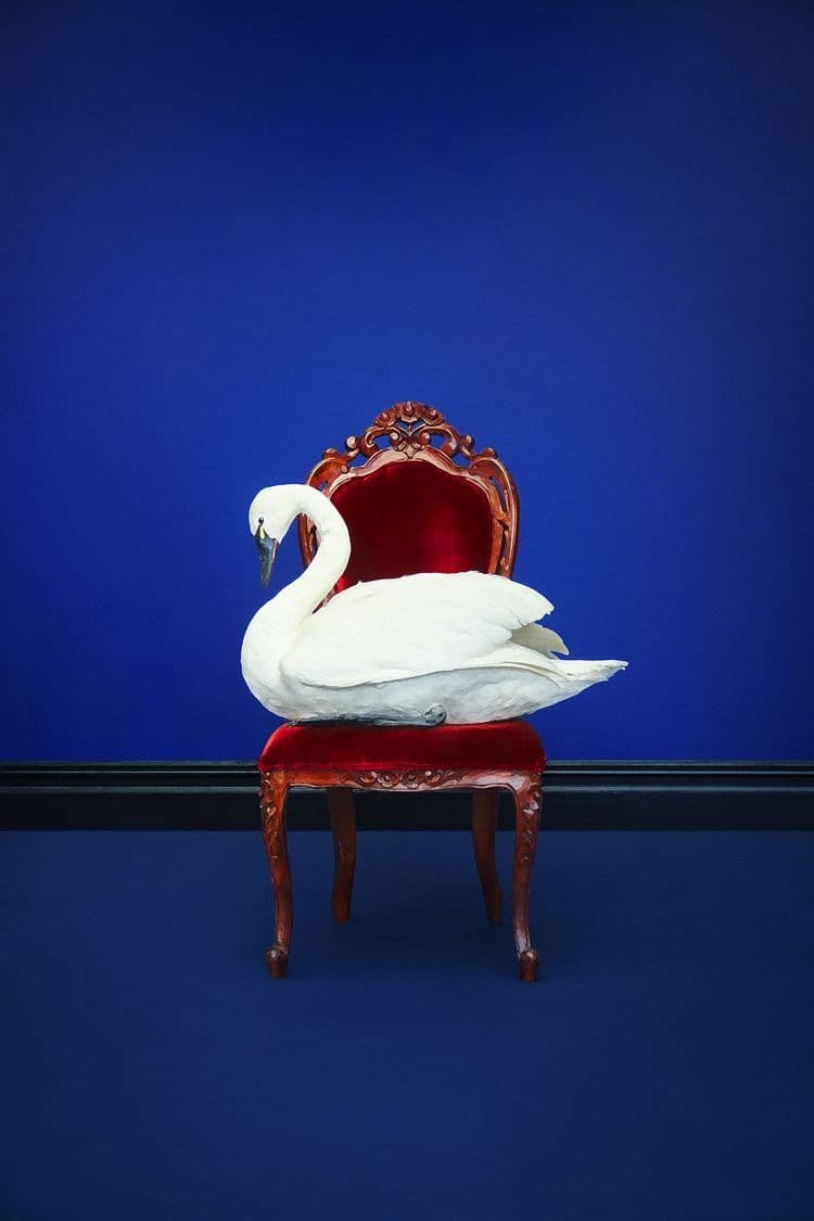 292010f1b4a95ffb2a9041678903954c